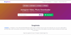 Tips Menggunakan SnapInsta agar Hasil Download Maksimal